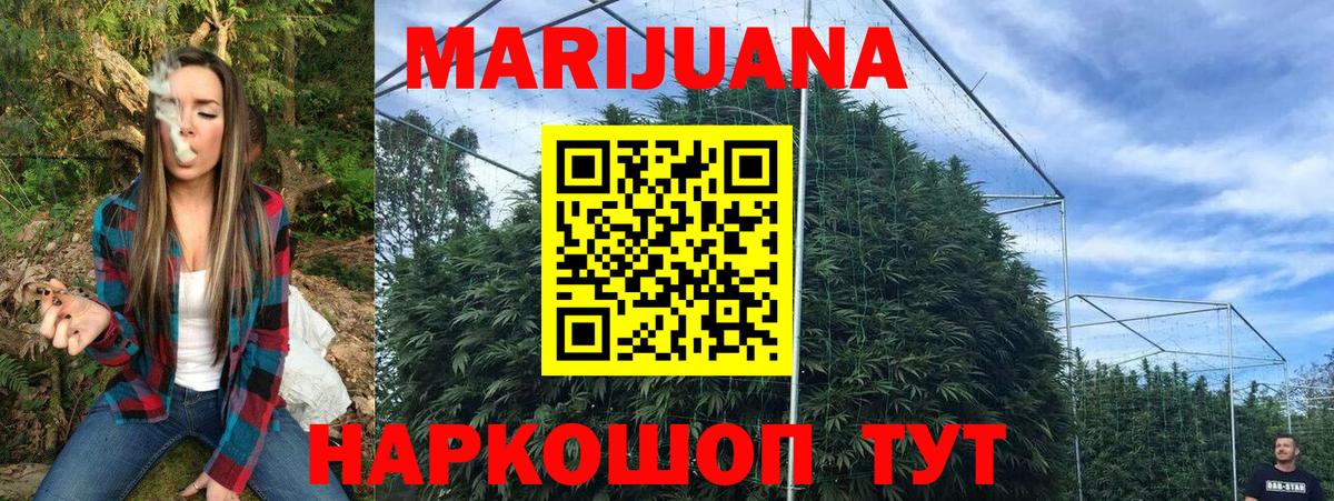Канабис Bruce Banner  Конопля гибрид  Каннабис конопля  Вход с VPN  Абинск 